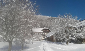 Haus Binder, Weissensee, Österreich